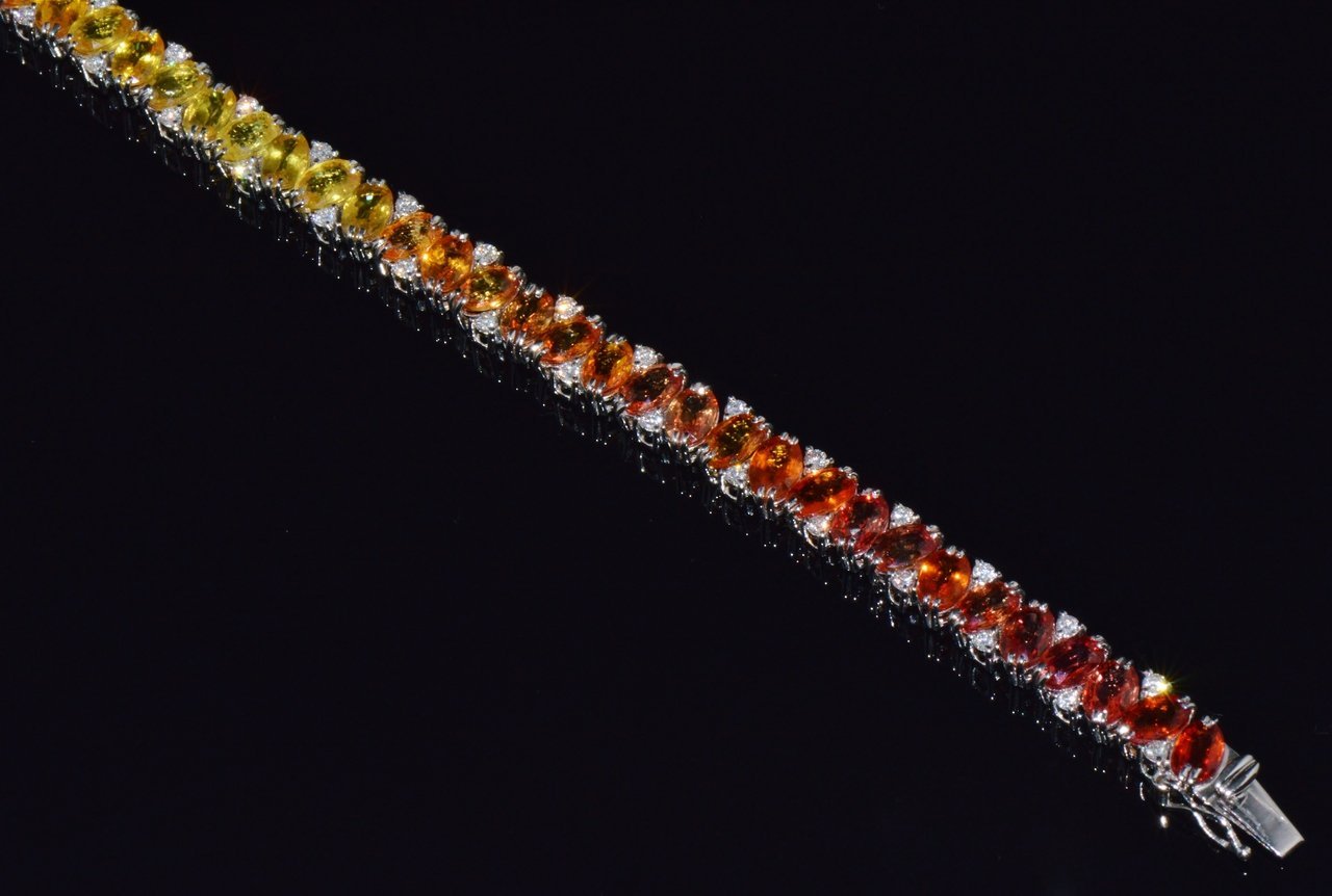 DSC_0464__56581.jpg